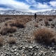 Megatrudge 2014: 400 kilometers across the Gobi