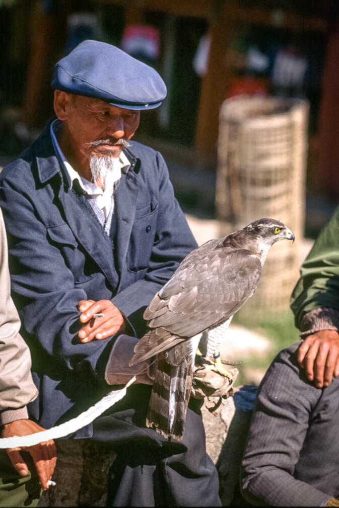 Naxi gentleman with his hawk