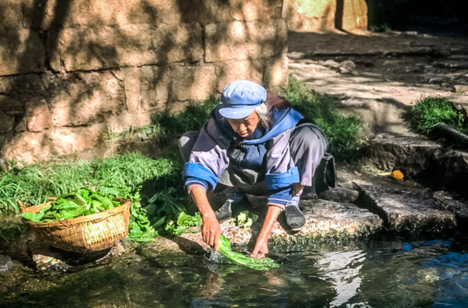 Washing vegetables in one of Dayan's streams