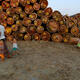 Mass arrests shine light on illicit Sino-Burmese timber trade