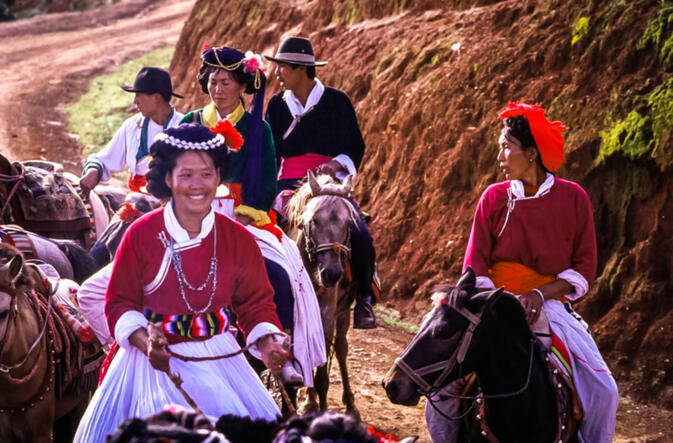 Riding ponies to the festival