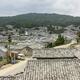 Grassroots forest management in Yunnan's Xinqi