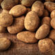 'Potato college' serious, Chinese netizens less so