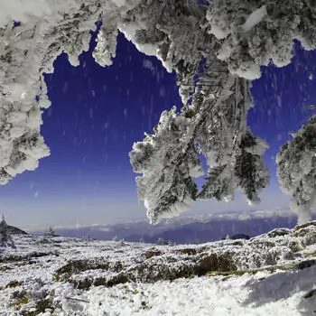 Hiking among the clouds on Yunnan's Jiaozi Snow Mountain | GoKunming