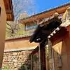 Uncover Kunming's secret: the timeless charm of Leju village