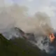 Forest fire menacing outskirts of Kunming