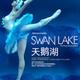 Swan Lake    