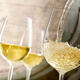White Wines of the World Tasting