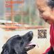 Yangmu Dog Shelter Volunteer Day
