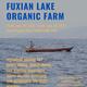 Weekend Trip to Fuxian Lake Organic Farm