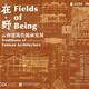 Fields of Being: Traditions of Yunnan Architecture