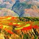 Join-In-Group-Tour to Dongchuan Red Land