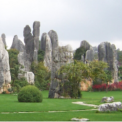 Stone Forest Tickets