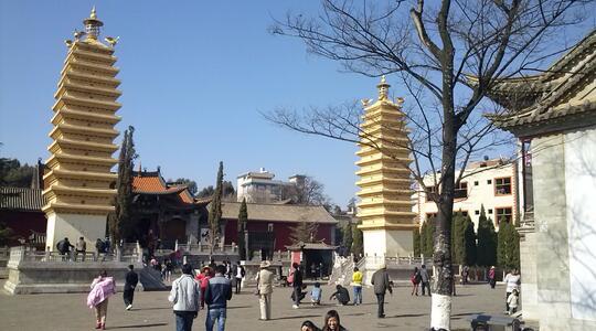 Guandu
