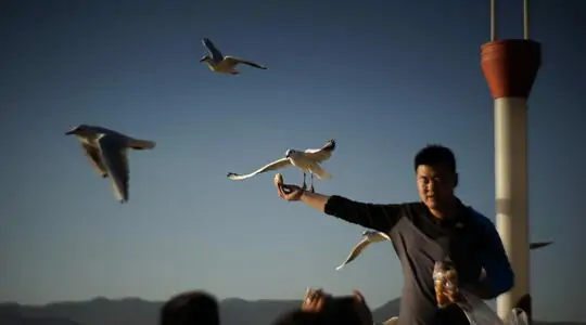 Posing with those darn seagulls