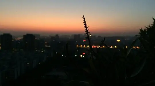 DAWN