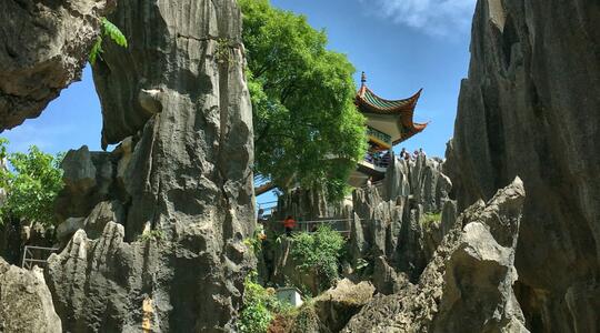 Pride Rock