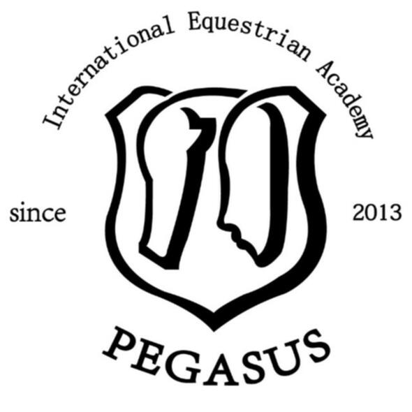 Pegasus International Equestrian Academy