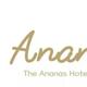 the Ananas Hotel