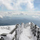 轿子雪山