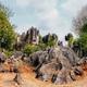 Naigu Stone Forest